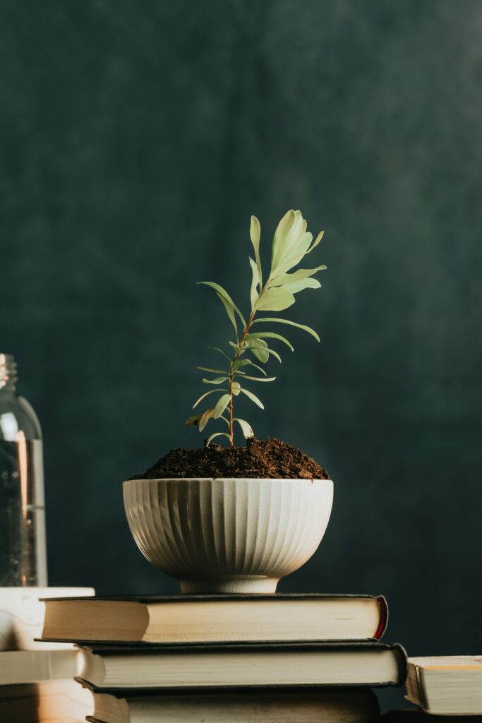 Small green plant growing in soil placed on stacked books against a dark background